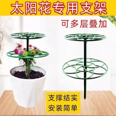 太陽の花の形の支柱の支えの竿の花の棚の棒のアメの古い杭の支えは藤の棚の形の花の棚のブラケットに登ります。