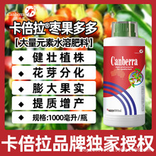 卡倍拉枣树叶面肥防裂膨大增甜促花稳果枣树微量元素叶面肥