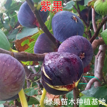 �ձ��Ϲ� �o������ ���Ե��� �o�������� ����Y���@�� ���� ��ľ