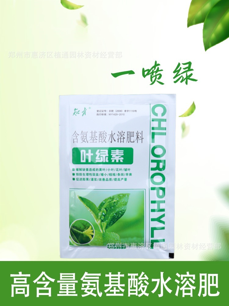 详情_副本1_叶绿素