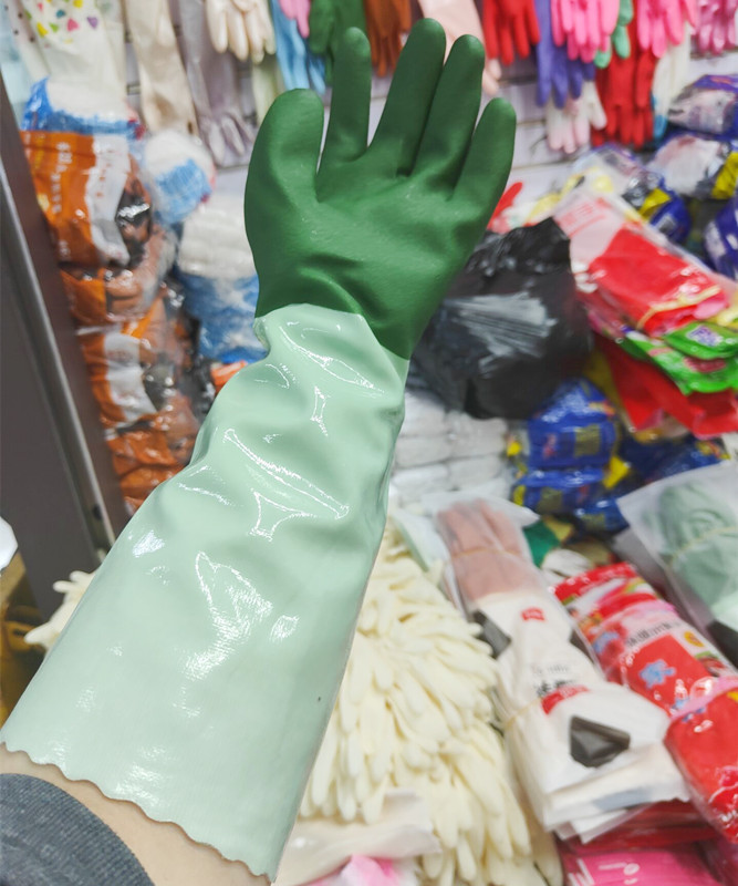 25F4C770846BA656695597D8584024