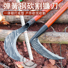 ��ʽ�i䓸��砵��߿���֦������ӵ����Ͳ˸�С����ӽY������