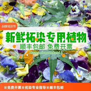 ֲ������Ⱦ�r�� ���ܲ��� �زݲ����N����ӡ�������r�Gֲ���~Ѻ��