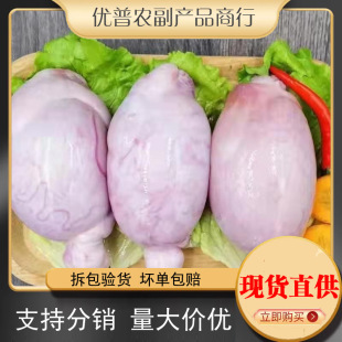 �������������r�r���r�ҬF�����l���]������������ʳ������