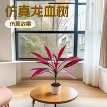 �羳�������ľ��Ѫ���콶�Gֲ���҃��쾰��׻��ܲ������P��ˇ