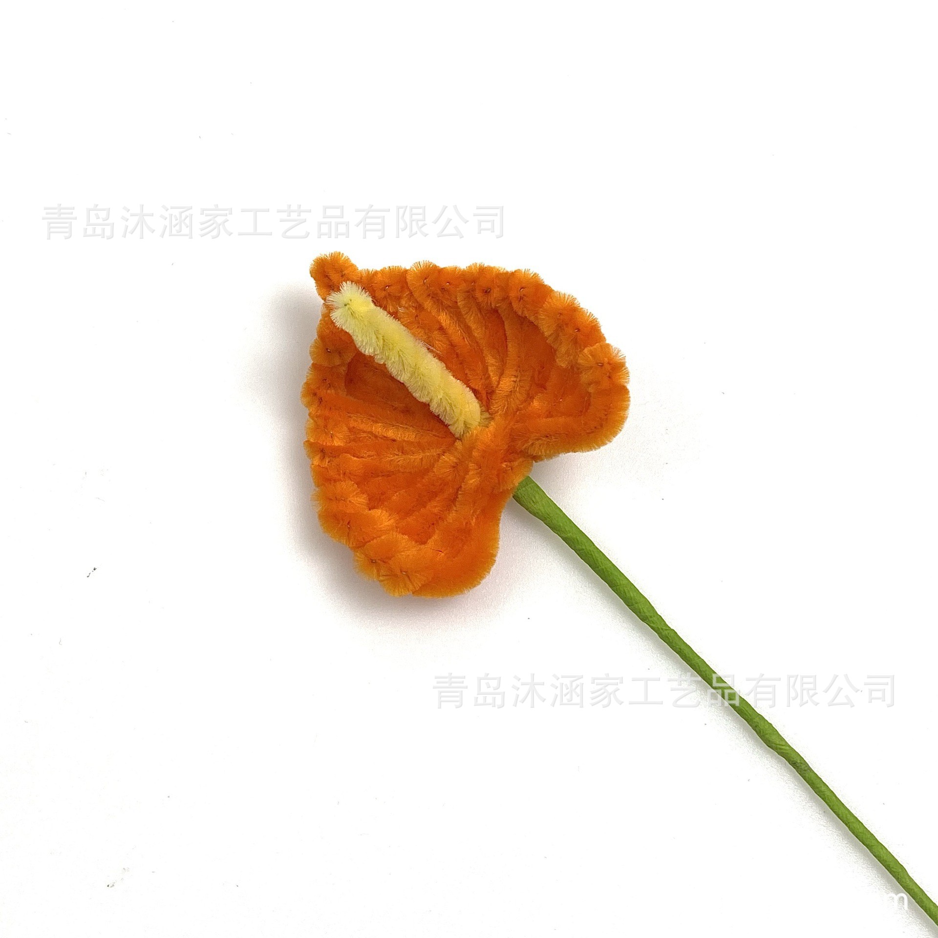 안스리움 [주황색]