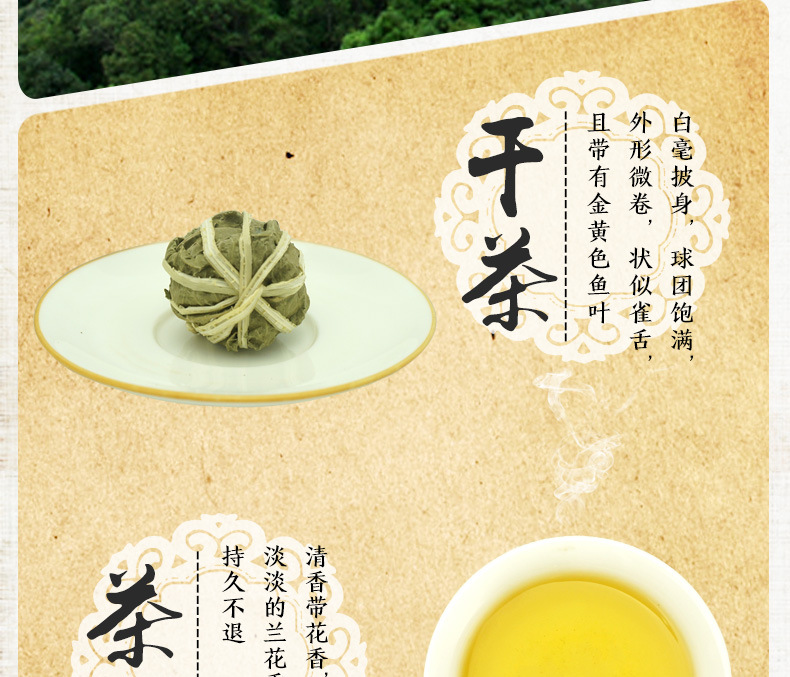 海南贸易市场动态:蒙图视角