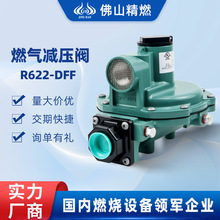 FISHER费希尔燃气减压阀R622-DFF二级煤气液化气调压器
