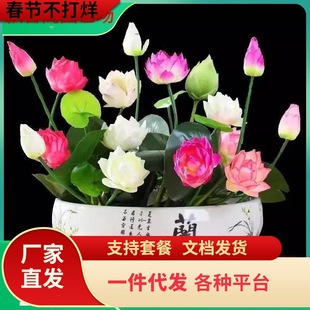 һl҃Bɏļ_ˮֲ˯ɏɻˮˮB