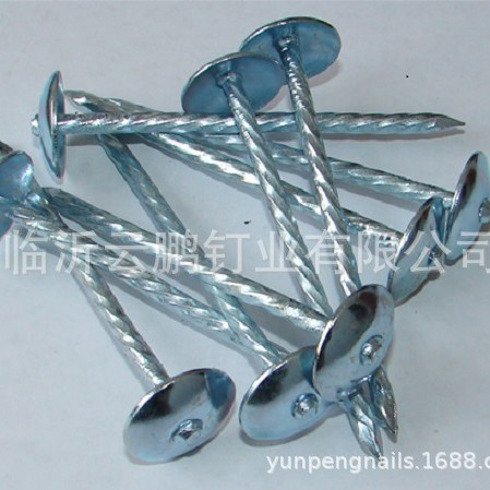 专业生产镀锌瓦楞钉规格2“2.5”3“线径9G12G10G质优价廉规格全