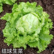 �Y���������͈A�������͝h������ð���ɳ�����r�߲ˈA������
