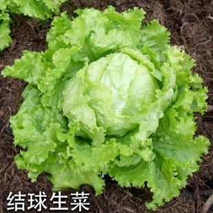 �Y���������͈A�������͝h������ð���ɳ�����r�߲ˈA������