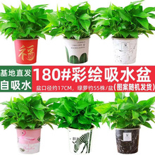 ��G�}���Ի������lˮ���L�پG�}�҃ȾGֲС�G�j����ȩС����