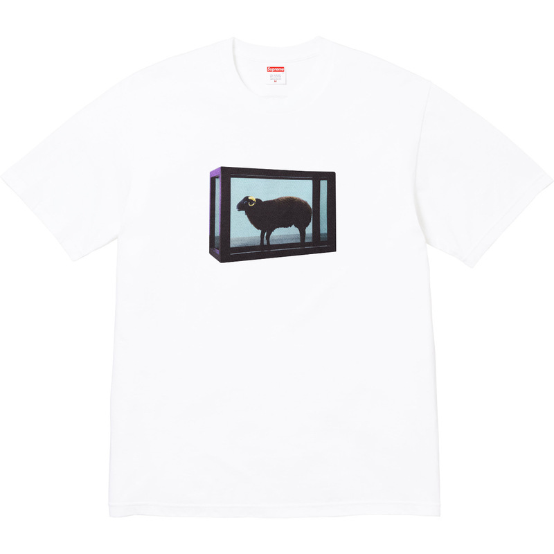 SUP潮牌SS25  Short-sleeved T-shirt 美潮街潮短袖T恤|undefined