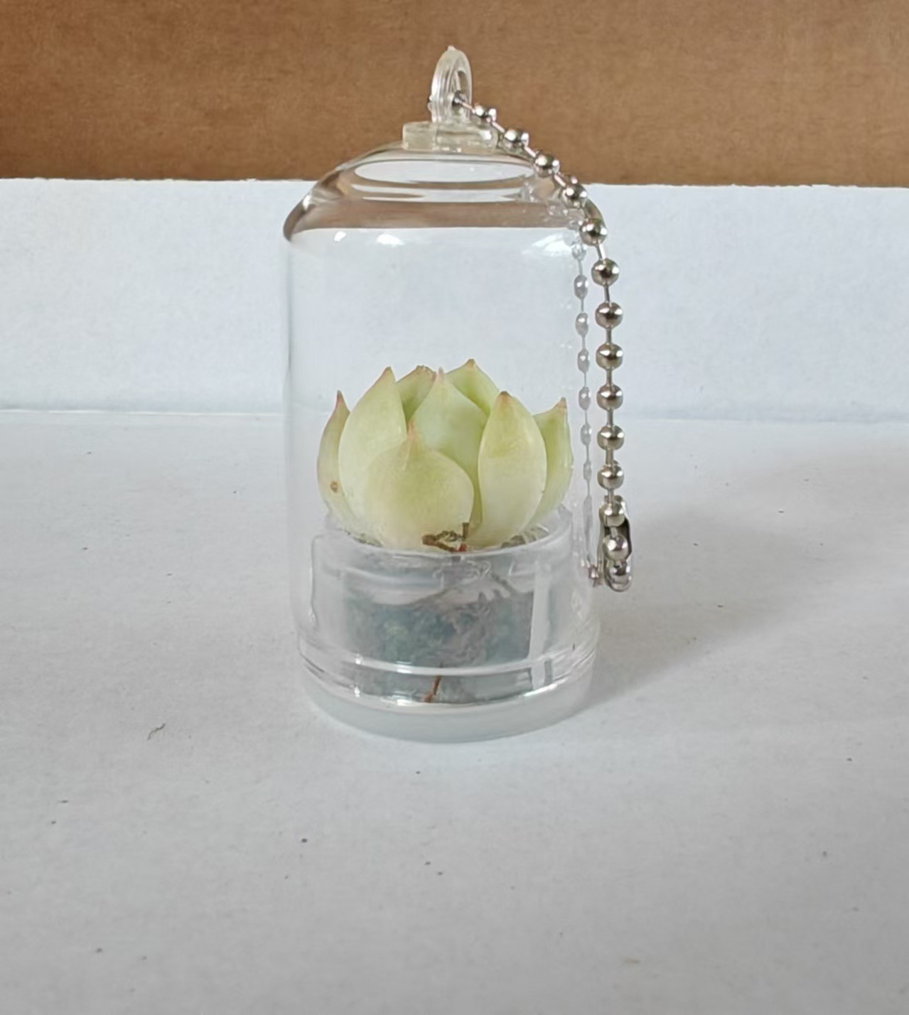 微信图片_20241021090739