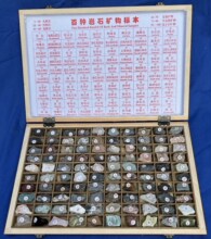 ȫ��100�N�������ʯ�V��Vʯ�˱�����С�W�������|�ƌW�x������