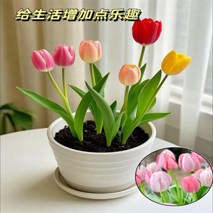 �M��������N��ѿ5����ˮ���ļ��_���҃����̨ˮ���B�����ͺ�