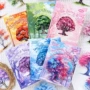 系列zabc造景贴纸