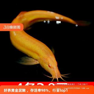 ���q���w���B�ͻ��坍�~�׹����~��ˮ������^�p�~�����D���l