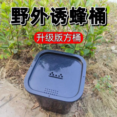 蜂の箱の桶はバケツのミツロウを捕まえて蜂の味を養います。