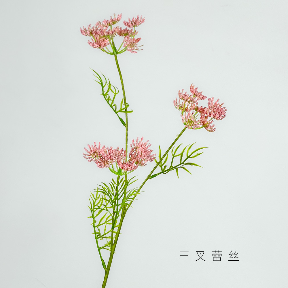 핑크색 3갈래 레이스 꽃