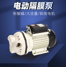 自吸泵电动隔膜泵耐酸碱水泵防腐蚀化工泵抽酒泵抽洗衣液泵尿素泵