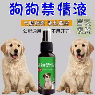 ��������ș�LЧ���释�F����؈�����ưl��^��ș��ĸ������ۿ羳