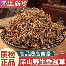 �������ș��500g����ݸ�؛�o�������ݲ������N������l�в�ș