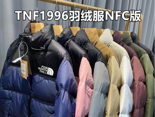 North Point Shan 1996 Down Jacket US Версия высокой версии хлебная одежда TNF Winter 700 Pink Sports Down Куртка Женская пара