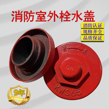 ����˨��ʽ���wKWS65�w������˨���^���^�ȿ�ʽ��������˨�ӿ��w