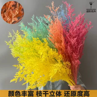 永生花情人草天然真花花束情人节礼盒香薰插花批发