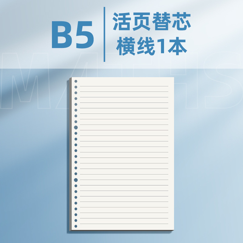 科目別ノート、ルーズリーフ、厚め、中学生専用、高校b5、フルセット、授業科目別、厚めルーズリーフ|undefined