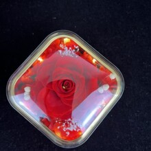 ���l͸�����ӎ����ɻ����˹����նY��Ů���}�Q��õ�廨�������