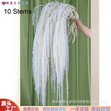 tСבҒ˜IzcˇܛbϏSl