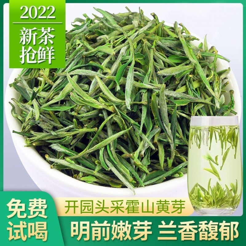 黄茶批发开园头采霍山黄芽2022新茶特等明前春茶浓香型茶叶多规格