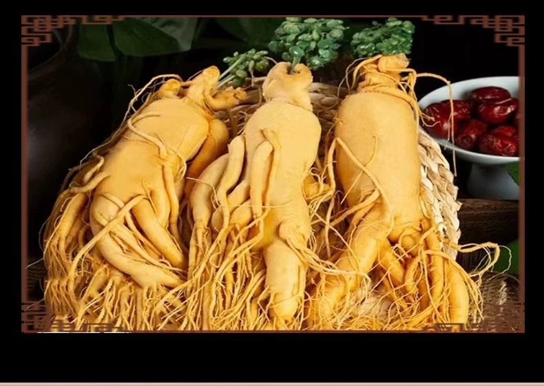 Chinese Herbal Wine Soaking Kit — 200-Ingredient Food-Herb Blend with Ginseng & Deer Penis preparation
