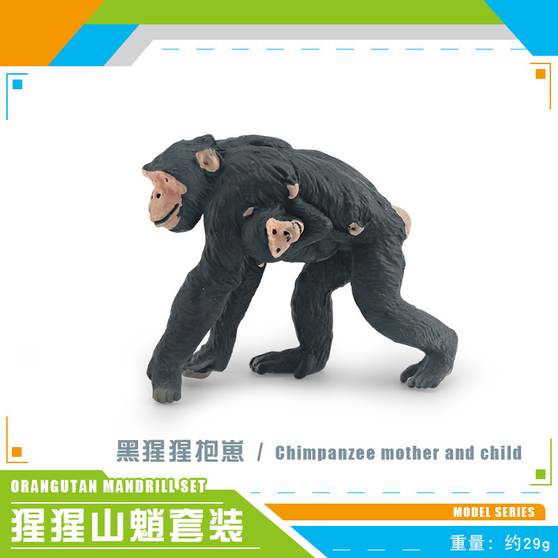 PL127-1708 chimpancés Madre y niño 29G