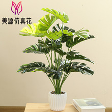 �ٻ����ҷ���ֲ��Ҷ�Ŵ����Դ�������С�ڼ�����ѷ�����������ֲ