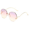 Trend sunglasses, marine glasses solar-powered, European style, gradient, flowered