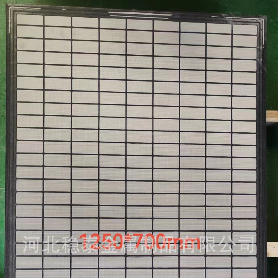 厂家生产ZS703E泥浆振动筛网1250×700mm×200目