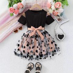 Baby girl dress 女童连衣裙夏装2025新款儿童公主裙仙女礼服长裙