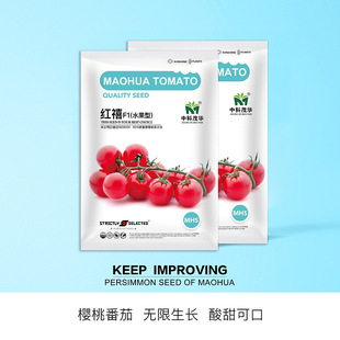 �п�ï�A�߲˷N�Ӽt�����ҷ��ѷN���}Ů��С���t���N�Ѵ���e�Nֲ