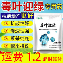 ���~ӭ�G���������b���I���t�������S�����Ѿ��~�S�~���~С�~���~