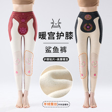 秋冬加绒打底裤蚕丝羽绒悬浮新款鲨鱼裤女可外穿高腰收腹保暖棉裤
