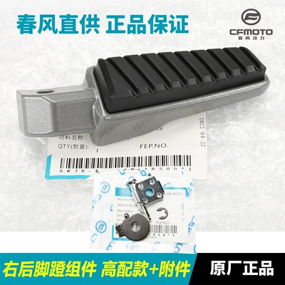 Combination Pedal Footrest — Motorcycle pedals - right-rear-pedal-assembly-installation-accessories-high-configuration