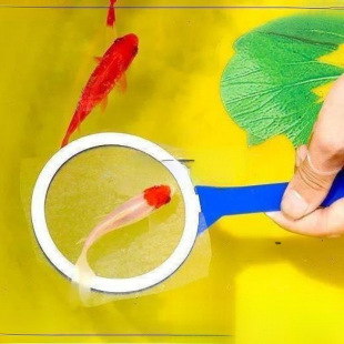 �~�W���~С���W�ƽ��~�Α�����Ʒҹ��У�@�V���[�����ռ��ƽ��~