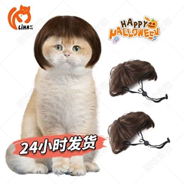 宠物头饰;宠物帽子;宠物围巾