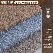 中羊卷圈圈绒素色羊羔绒面料现货秋冬时尚玩具大衣家居服毛绒布料
