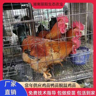 ����k9�u���������u�籿�u���������_�����u��Ž��S�u�����P��