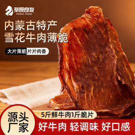 内蒙古特产雪花牛肉薄脆风干牛肉100g/桶 手撕牛肉零食厂家批发